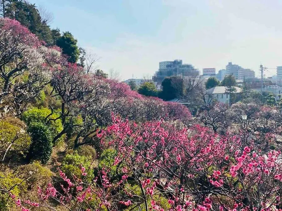 東京都【広々一軒家】帰国者歓迎！最大9名!空港直通＆山手線すぐ！ファミリー向け80M2庭付き大福ハウスアパートメント 東京都